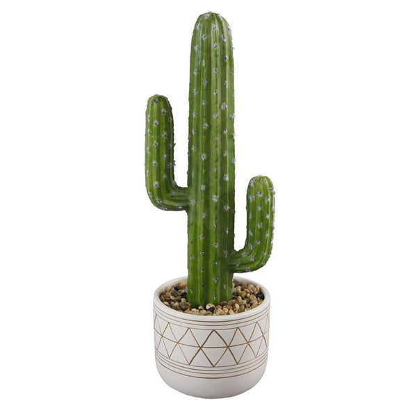 Cactus Succulent Planter